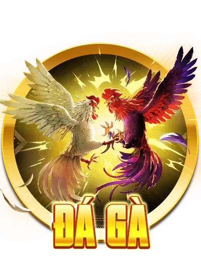 Đá gà win55