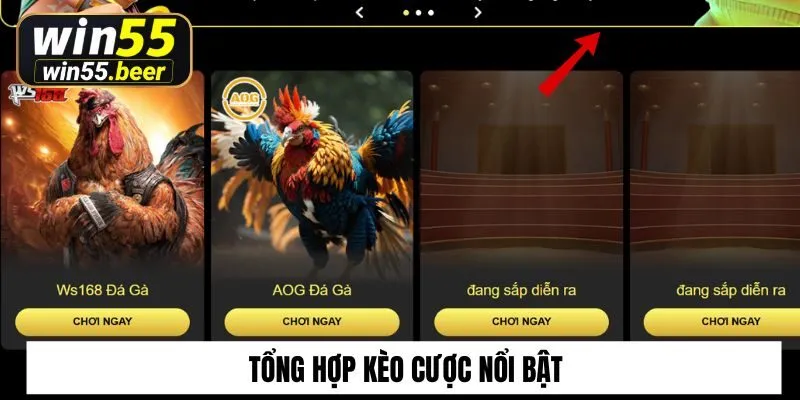 Tổng hợp kèo cược nổi bật
