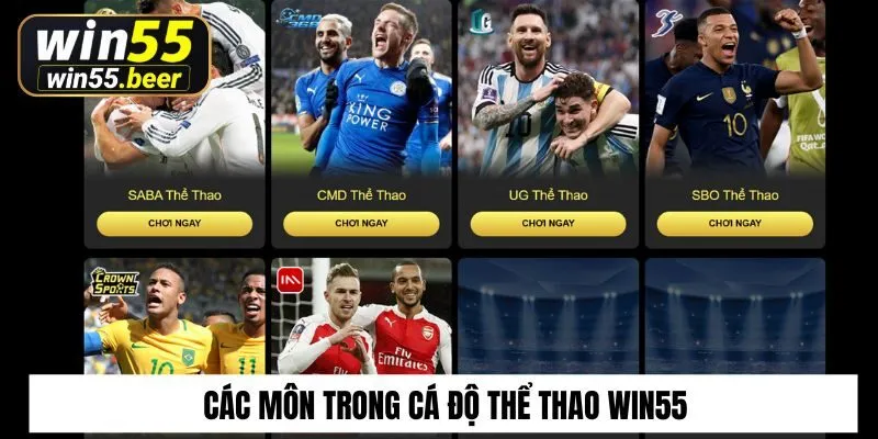 Các môn trong cá độ thể thao Win55