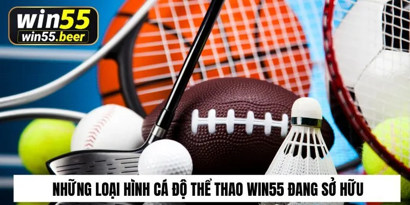 Những loại hình cá độ thể thao Win55 đang sở hữu