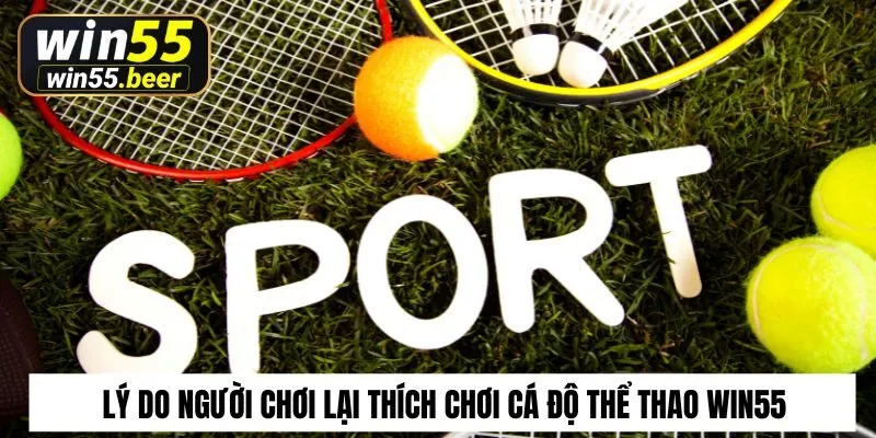 Lý do người chơi lại thích chơi cá độ thể thao Win55