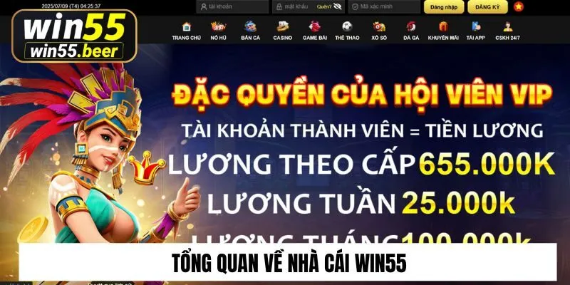 Tổng quan về nhà cái Win55