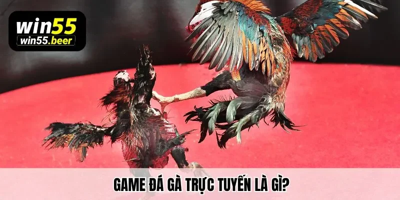 Game đá gà trực tuyến là gì?