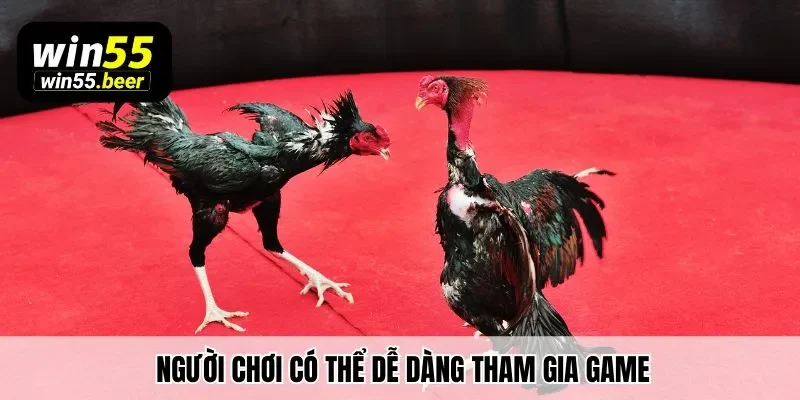 Người chơi có thể dễ dàng tham gia game chọi kê vô cùng dễ dàng